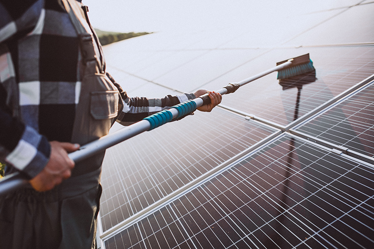 Solar Panel Cleaning