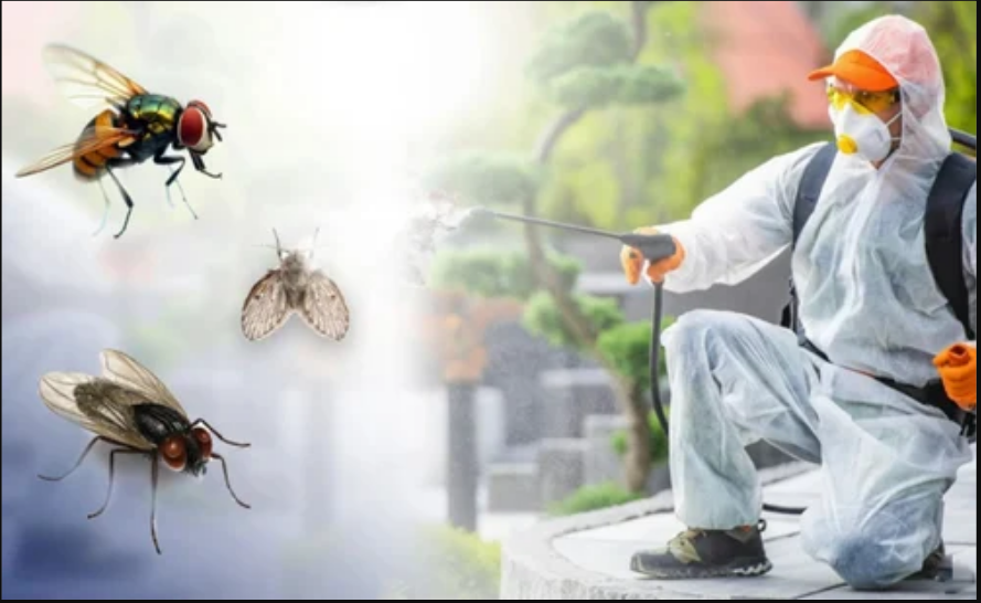 Professional fly control treatment for homes and businesses