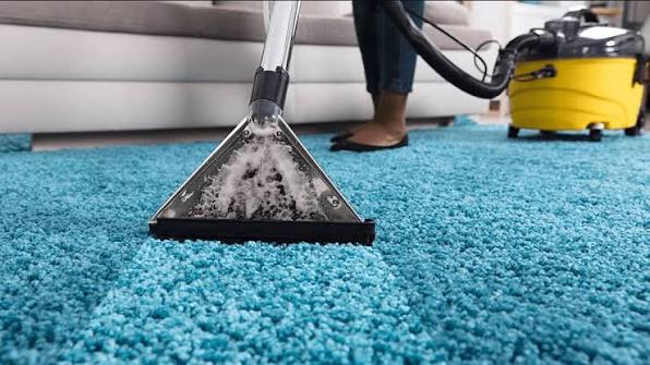Professional carpet cleaning service for homes and offices