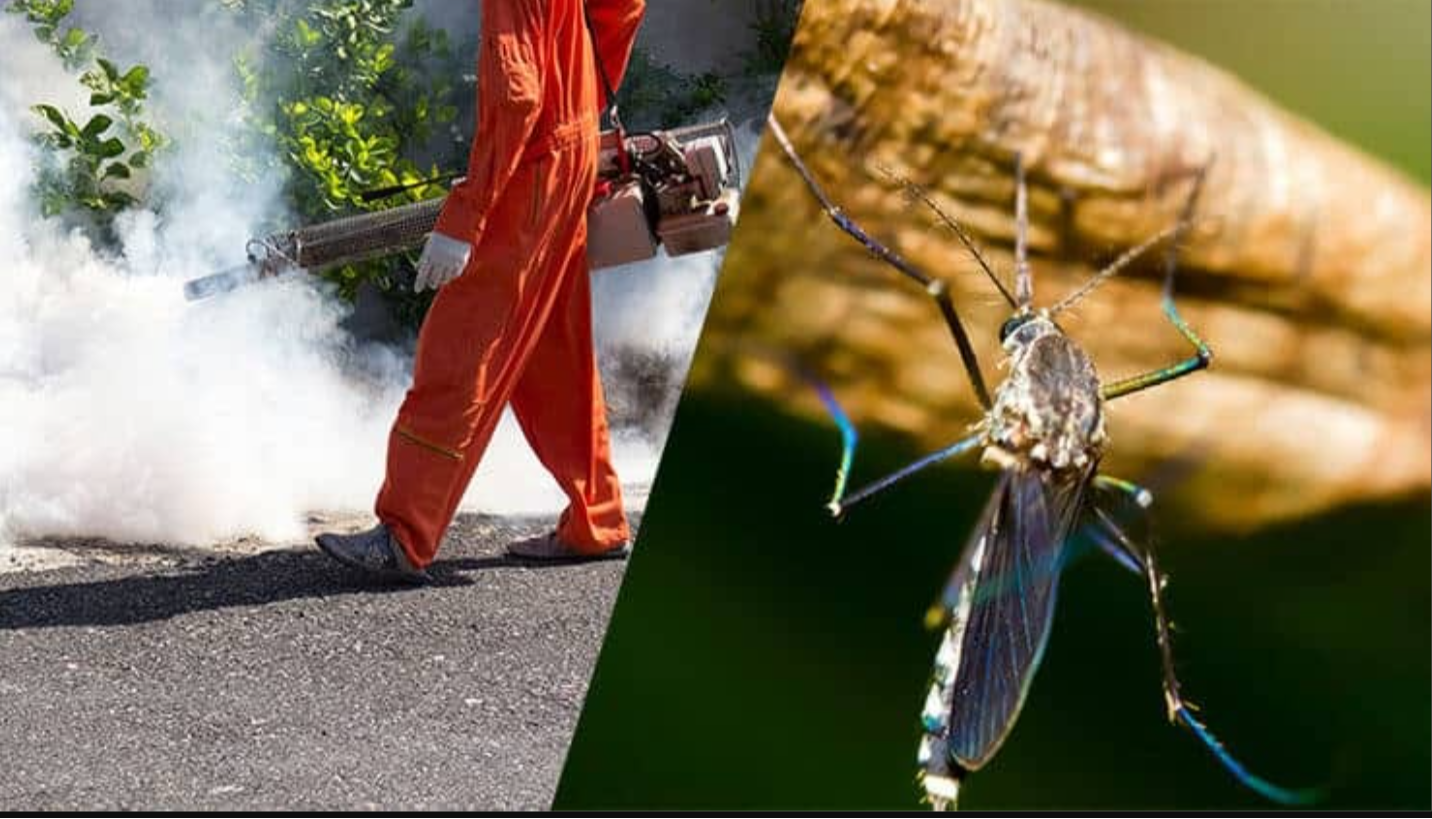 Professional mosquito control treatment for homes and businesses