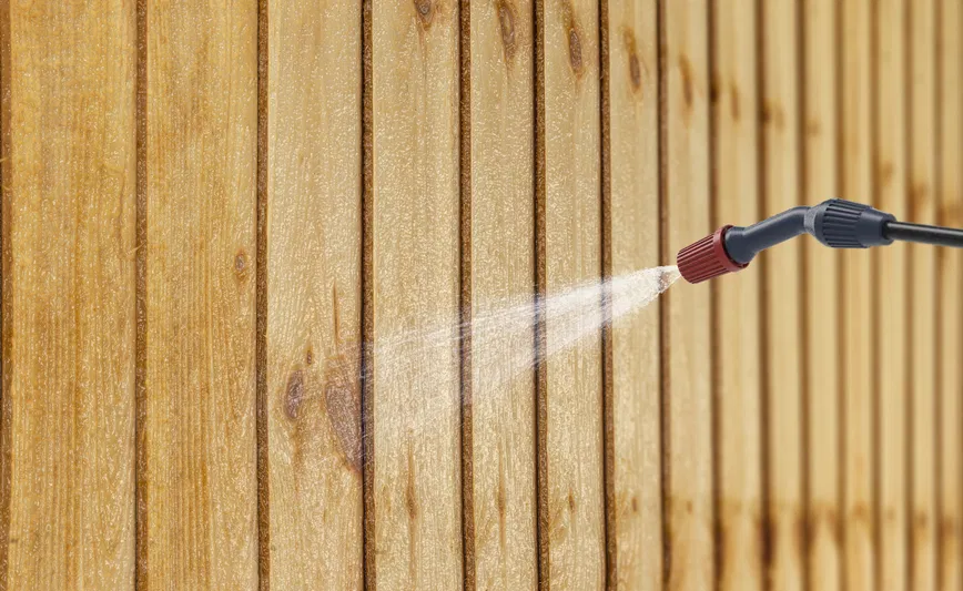 Professional wood treatment for termite and wood-boring insect protection